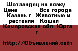 Шотландец на вязку › Цена ­ 1 000 - Все города, Казань г. Животные и растения » Кошки   . Кемеровская обл.,Юрга г.